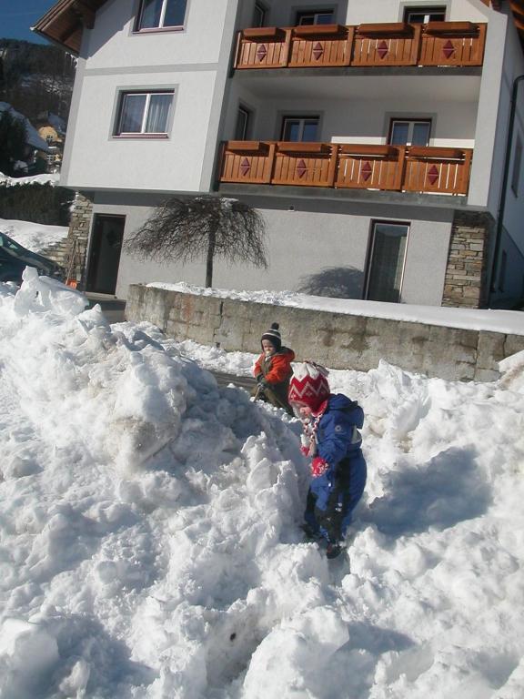 Haus Moni Apartment Mauterndorf  Bagian luar foto